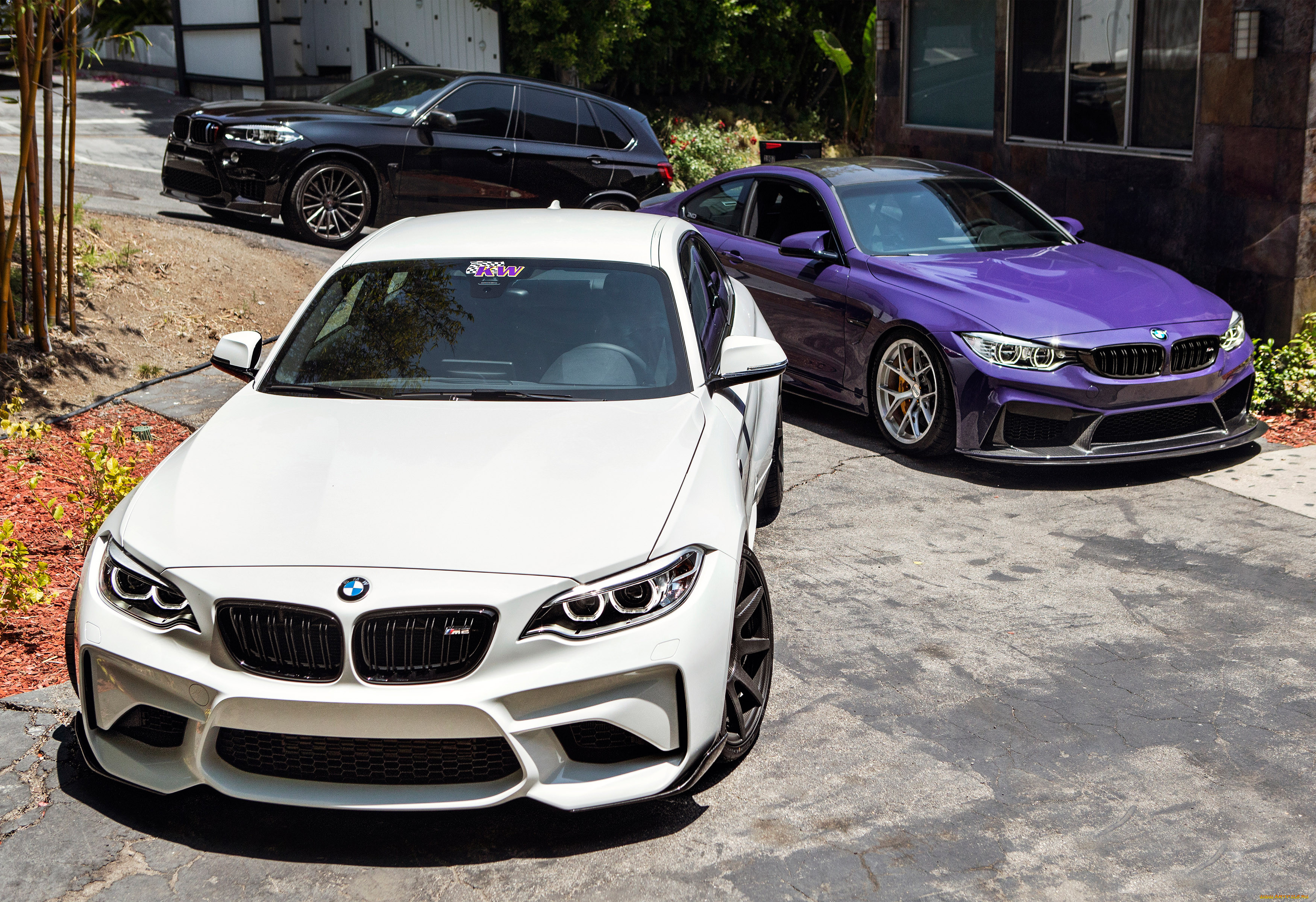 , bmw